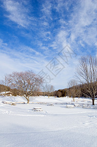 雪太阳日落白色桌子阴影地平线树木天空阳光照射图片