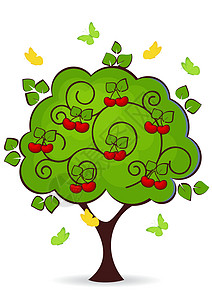 樱樱桃树食物收成绿色植物学蝴蝶生态红色植物森林水果图片