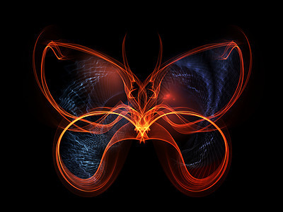 蝴蝶元素昆虫数学想像力创造力黑色轻轨翅膀图片