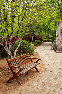 公园中的法官季节闲暇木头风景小路叶子椅子途径国家森林图片