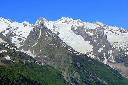 高加索山脉 Dombai冰川悬崖石头高度旅行顶峰全景木头季节首脑图片