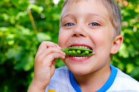 男孩吃青豆幸福生长花园蔬菜水果阳光食物孩子乐趣衣服图片