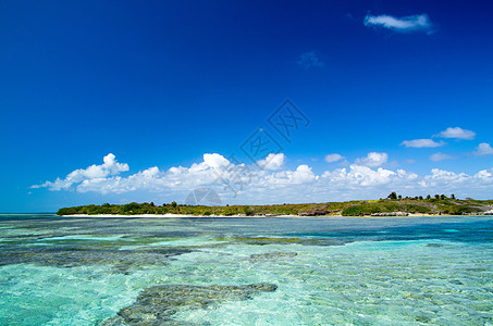 热带海洋天堂旅行假期天空海景海岸蓝色冲浪晴天支撑图片