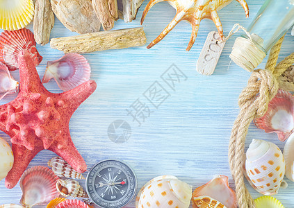 海壳和罗盘星星海岸旅行季节调子地面绳索海星海滨假期图片