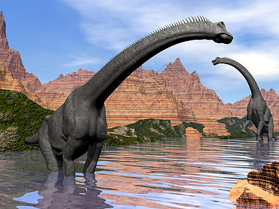 水中三维转化成的布拉奇龙恐龙动物蜥蜴脊椎动物脖子荒野爪子灭绝岩石蓝色图片