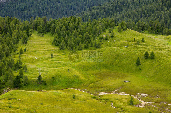 阿尔卑山田地图片