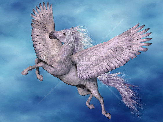 白斑马插图寓言荒野骏马动物魔法神话充电器翅膀飞行图片