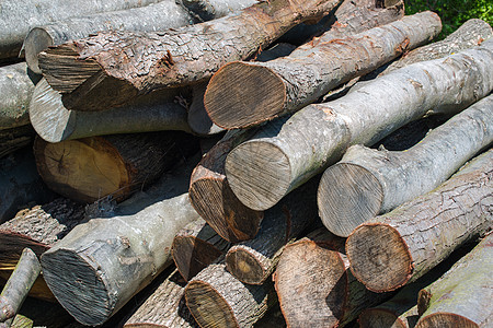 木叶日志柴堆棕色记录木材燃料团体山毛榉森林资源图片