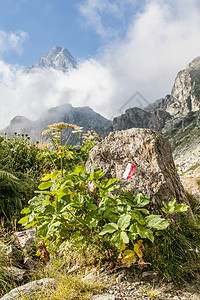 意大利阿尔卑斯山上的路径符号石头高度小路踪迹远足顶峰旅行天空岩石绿色图片