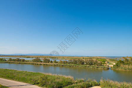 埃布罗三角洲保护区自然保护区湿地自然公园水平河口背景图片