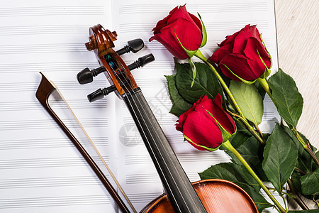 Violin 玫瑰和音乐书籍花朵小提琴笔记纪念日风格旋律乐队艺术仪式细绳图片