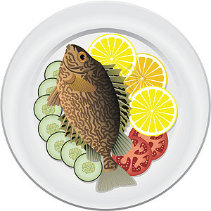 病媒鱼类和蔬菜厨房食物海鲜盘子饮食绿色用餐美食红色黄瓜图片