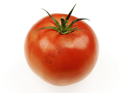 单整面番茄背景图片