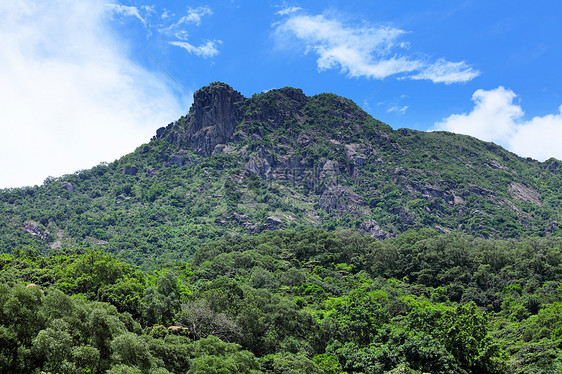 香港的狮子石天空草地绿色石头环境植物爬坡森林岩石狮子图片