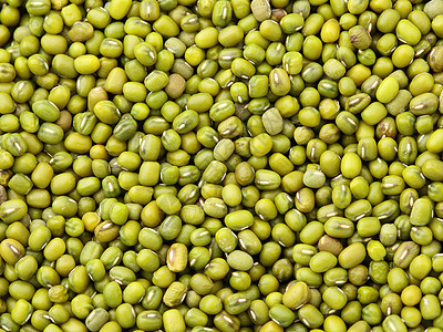 蒙豆背景辐射食物大豆宏观绿色公克蔬菜植物糊状物美食图片