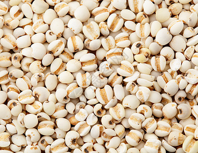 可可种子闭合大麦食物求职者谷物粮食矿物质营养维生素工作直素图片