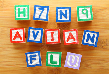 H7N9禽流感玩具块图片