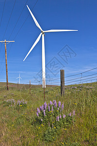 东华盛顿的风力涡轮草原力量电线杆技术能源花朵场地山坡电话线图片