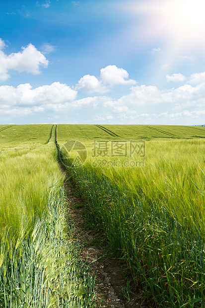 有机绿春粮田生长季节蓝色生活城市食物铁轨蔬菜阳光太阳图片