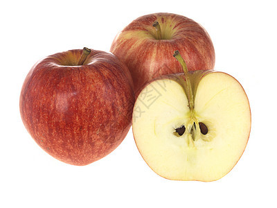 Gala 苹果园食物节日生活小吃白色点数工作室水果种子图片