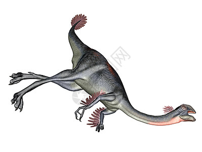 巨虫恐龙动物杂食性说谎生物怪物尾部插图爬虫侏罗纪蜥蜴图片