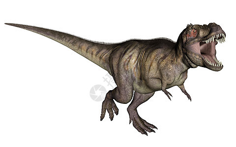 暴龙恐龙龙类古生物学动物插图捕食者蜥蜴生物绿色蜥脚类两栖图片