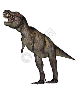 暴龙恐龙虚骨龙类灭绝白色力量生物怪物古生物学捕食者侏罗纪图片
