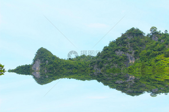 松林林荒野环境风景山脉林地天空热带草地木头叶子图片