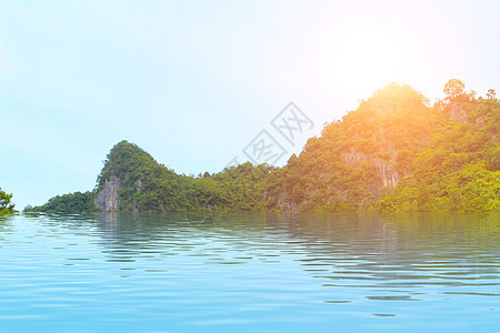 松林林全景土地环境场景蓝色爬坡天空荒野木头草地图片