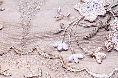 银纺织刺绣宏观礼物婚礼奢华丝绸织物新娘蕾丝材料图片