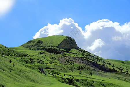 高加索绿色山脉首脑风景绿色叶子木头高度顶峰森林爬坡悬崖图片