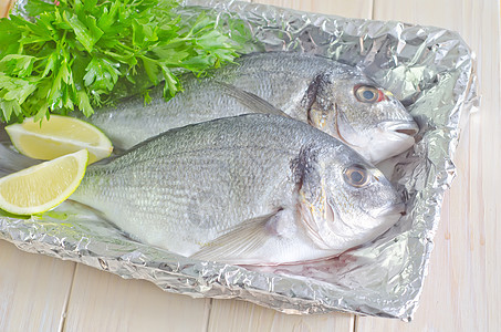 生鱼尾巴木板海洋动物荒野居住海鲜眼睛香菜食物图片