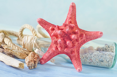 蓝色背景的海壳旅行星星青瓷墙纸蜗牛贝类海螺绑扎甲板收藏图片