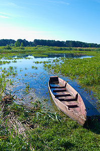 船舰旅行钓鱼天空沼泽地灌木沼泽洪水衬套假期植物图片