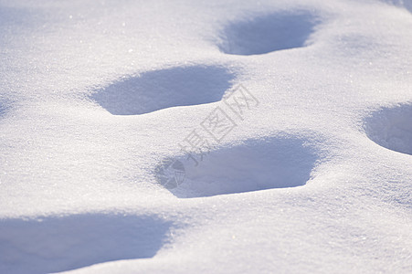 雪雪层季节性打印季节脚印冻结白色冰柱图片