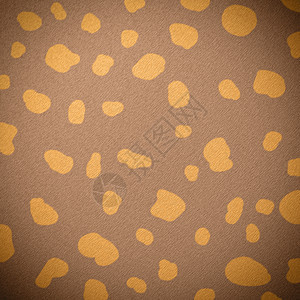 动物皮肤黄色野生动物装饰小地毯打印皮革荒野材料艺术棕色图片