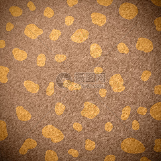 动物皮肤黄色野生动物装饰小地毯打印皮革荒野材料艺术棕色图片