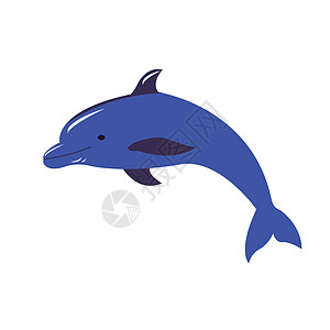 海豚在它的背上游泳脚蹼野生动物灰色俘虏蓝色哺乳动物波纹海浪动物海洋图片