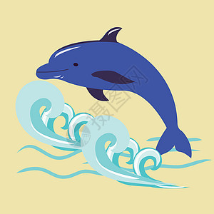海豚在它的背上游泳元宝蓝色野生动物海洋眼睛水族馆生物海浪动物哺乳动物图片