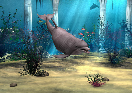 海豚潜水插图脚蹼动物朋友哺乳动物生物植物海洋水平图片