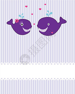 鲸鲸漫画气泡插图喷泉哺乳动物野生动物蓝色尾巴吉祥物海洋剪裁图片