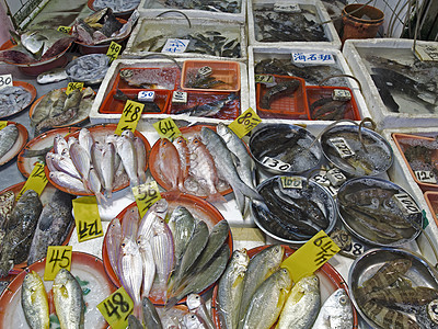 Mongkok 湿鱼市场图片