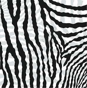 斑马的抽象皮肤纹理哺乳动物条纹荒野隐藏皮革材料野生动物墙纸丛林线条图片