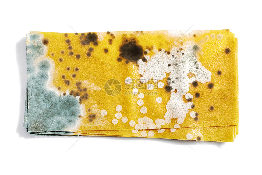 模制宏观食物孢子影棚霉菌垃圾生物学细菌疾病化学图片