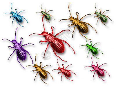 白色背景上的彩色甲虫宏观绿色花园植物草地玫瑰植物学金子动物动物群图片