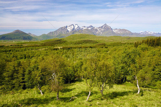 挪威夏季夏天牧场蓝色乡村农村草地风景草原全景山峰晴天图片