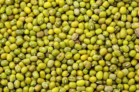 蒙豆背景种子蔬菜公克美食植物辐射糊状物豆类粮食大豆图片