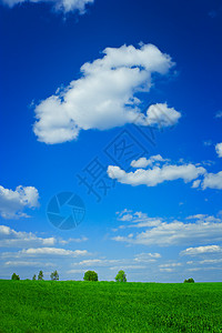 字段和天空活力天气场景牧场风景蓝色季节乡村土地场地图片