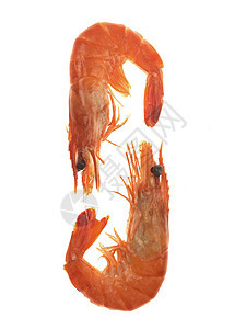 虾王结痂小吃白色海鲜国王贝类烹饪背景图片