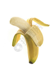 香蕉采摘白色甜点水果热带背景图片